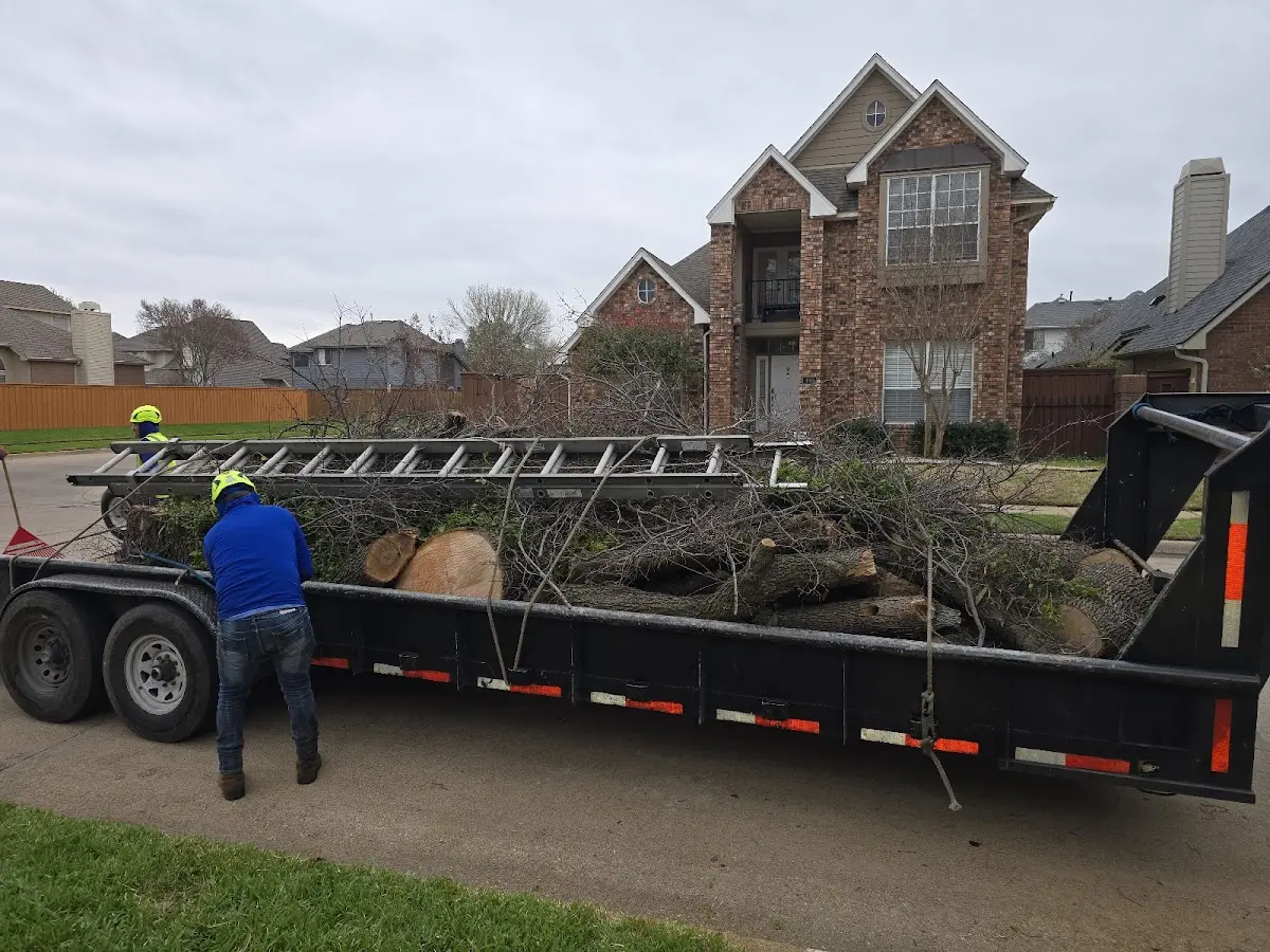 Expert Tree Removal with proper safety equipment in Neopit